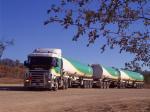 Scania R144GA 530 6x4 1995 года (AU)